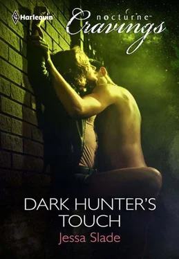 Jessa Slade Dark Hunter's Touch обложка книги