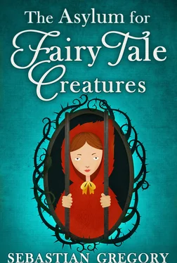 Sebastian Gregory The Asylum For Fairy-Tale Creatures обложка книги