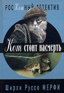 Ширли Мерфи Кот стоит насмерть обложка книги