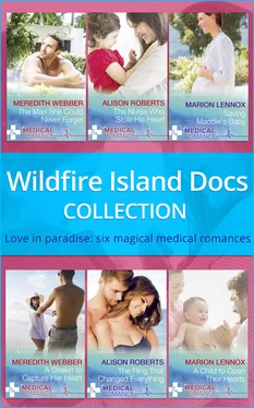 Marion Lennox Wildfire Island Docs: The Man She Could Never Forget / The Nurse Who Stole His Heart / Saving Maddie's Baby / A Sheikh to Capture Her Heart / The Fling That Changed Everything / A Child to Open Their Hearts обложка книги