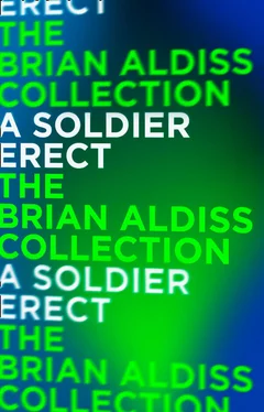 Brian Aldiss A Soldier Erect: or Further Adventures of the Hand-Reared Boy обложка книги