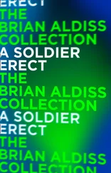 Brian Aldiss - A Soldier Erect - or Further Adventures of the Hand-Reared Boy