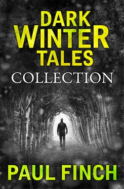 Paul Finch Dark Winter Tales: a collection of horror short stories обложка книги