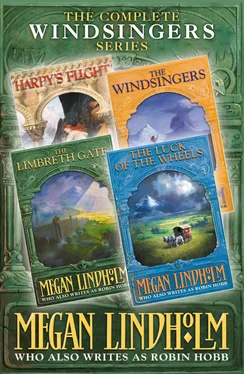 Megan Lindholm The Windsingers Series: The Complete 4-Book Collection обложка книги