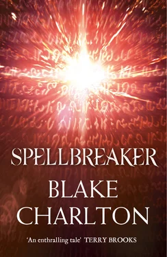 Blake Charlton Spellbreaker: Book 3 of the Spellwright Trilogy обложка книги