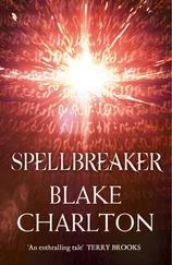 Blake Charlton - Spellbreaker - Book 3 of the Spellwright Trilogy