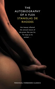 Stanislas Rhodes The Autobiography of a Flea обложка книги