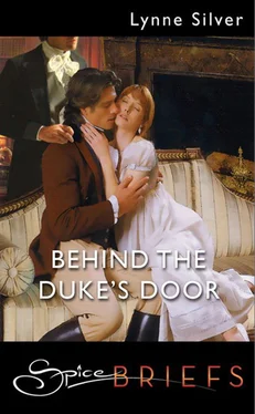 Lynne Silver Behind The Duke's Door обложка книги