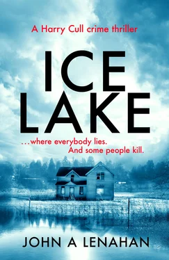John Lenahan Ice Lake: A gripping crime debut that keeps you guessing until the final page обложка книги