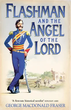 George Fraser Flashman and the Angel of the Lord обложка книги