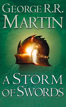 George Martin A Storm of Swords Complete Edition обложка книги