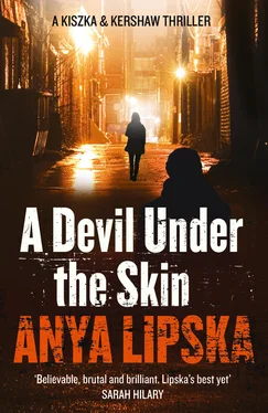 Anya Lipska A Devil Under the Skin обложка книги