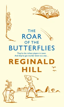 Reginald Hill The Roar of the Butterflies обложка книги