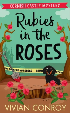 Vivian Conroy Rubies in the Roses обложка книги