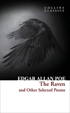 Edgar Poe The Raven and Other Selected Poems обложка книги