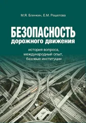 Михаил Блинкин - Безопасность дорожного движения. История вопроса, международный опыт, базовые институции