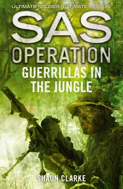 Shaun Clarke Guerrillas in the Jungle обложка книги