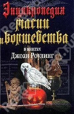 Мария Залесская Энциклопедия магии и волшебства в книгах Джоан Роулинг обложка книги