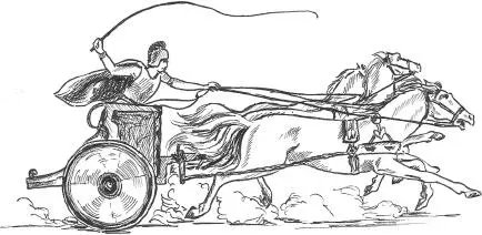 A Greek chariot In 431 BCE the Peloponnesian War between Athens and Sparta - фото 11