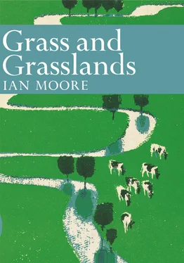 Ian Moore Grass and Grassland обложка книги