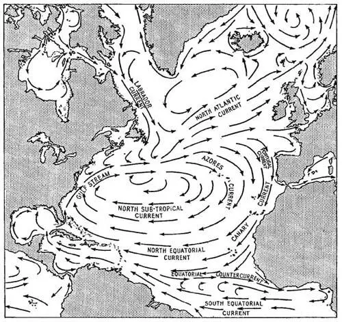 FIG 2 The surface currents of the North Atlantic Ocean Drawn with kind - фото 3