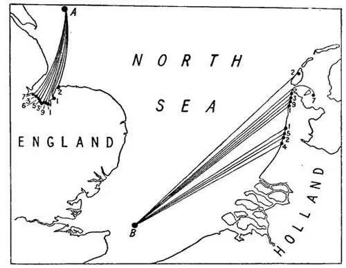 FIG 5 Showing where driftbottles liberated at A and B were recovered A map - фото 4