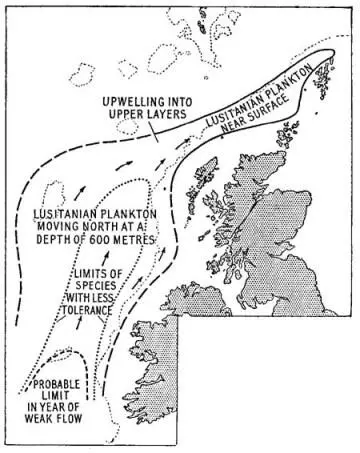 FIG 11 A chart showing the northward flow of the Lusitanian plankton - фото 7
