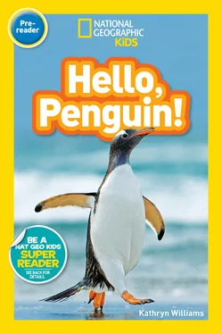 Kathryn Williams National Geographic Kids Readers: Hello, Penguin! обложка книги