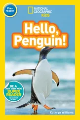Kathryn Williams - National Geographic Kids Readers - Hello, Penguin!
