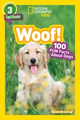 Elizabeth Carney - National Geographic Kids Readers - Woof!