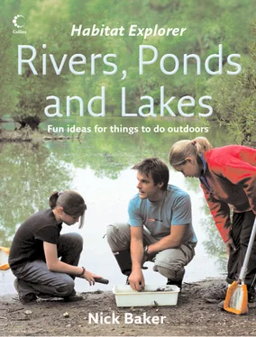 Nick Baker Rivers, Ponds and Lakes обложка книги