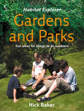 Nick Baker Gardens and Parks обложка книги