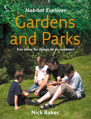 Nick Baker - Gardens and Parks