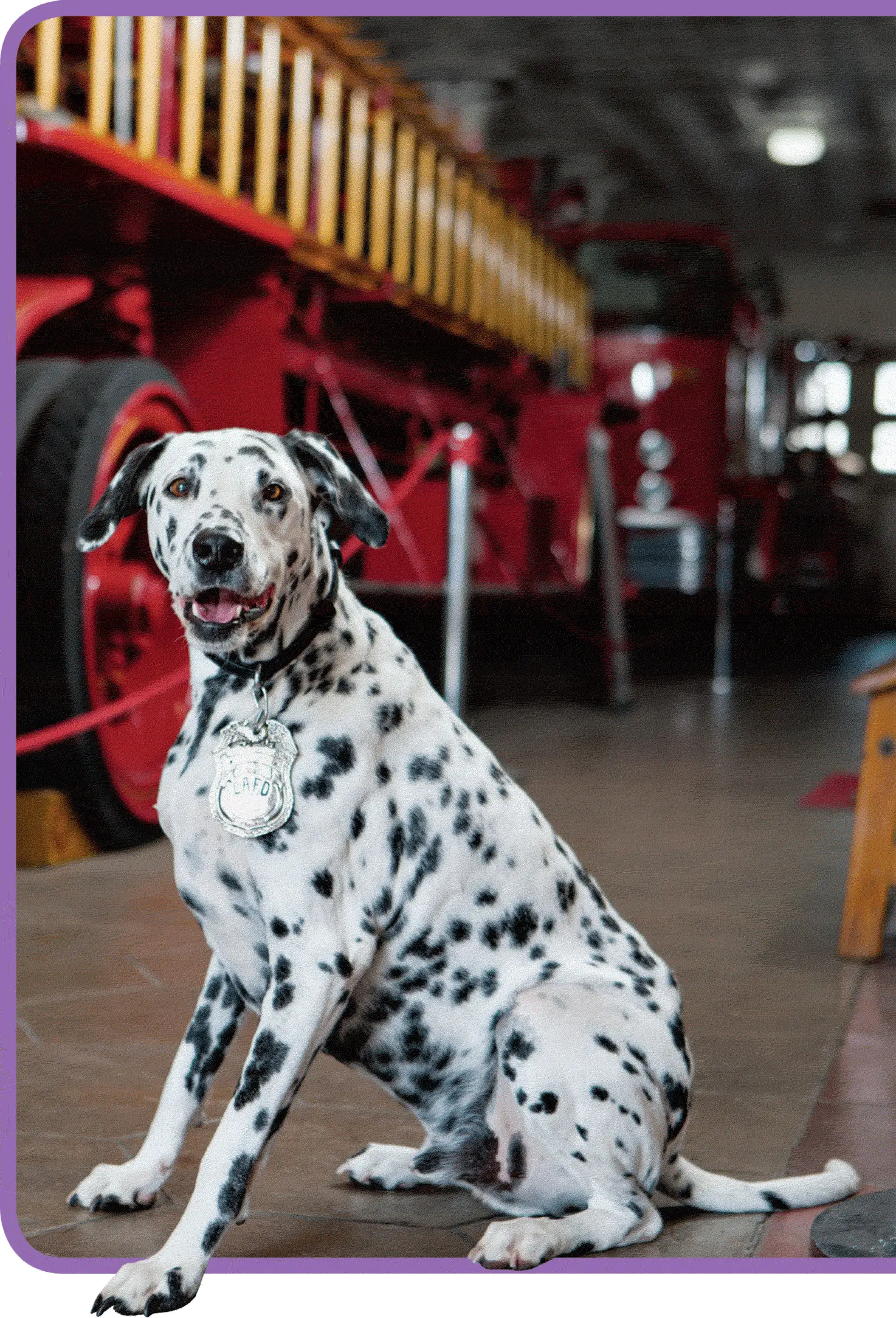 Wilshire at the fire station wearing his badge Credit 7 Конец ознакомительного - фото 13