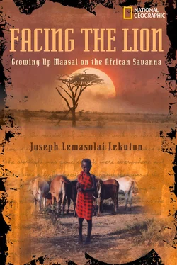 National Kids Facing the Lion: Growing Up Maasai on the African Savanna обложка книги
