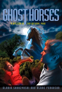 Gloria Skurzynski Mysteries In Our National Parks: Ghost Horses: A Mystery in Zion National Park обложка книги