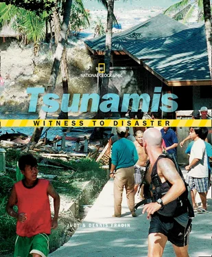 National Kids Witness to Disaster: Tsunamis обложка книги