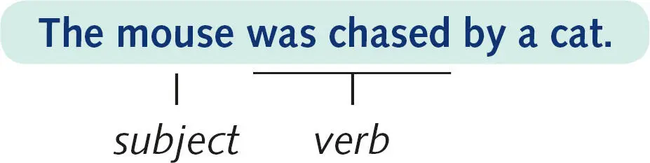 The passive voice uses be with the past participle of the verb is being fed - фото 3