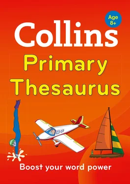 Collins Dictionaries Collins Primary Thesaurus обложка книги