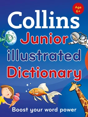 Collins Dictionaries Collins Junior Illustrated Dictionary обложка книги