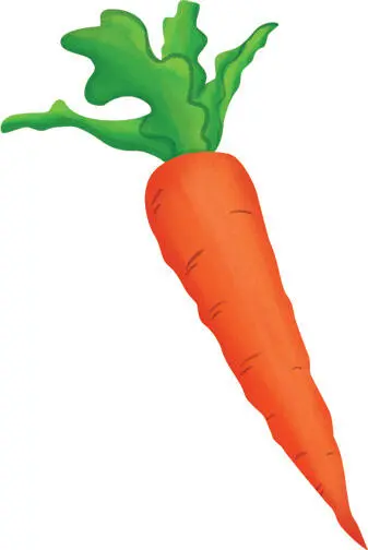 carry carries carrying carried VERB When you carry something you pick it up - фото 28