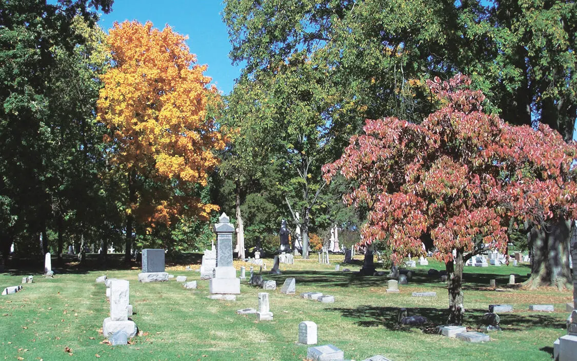 centimetre centimetres NOUN A centimetre cm is a measure of length It is the - фото 30