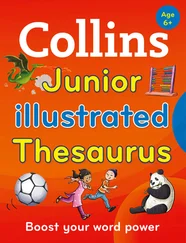 Collins Dictionaries - Collins Junior Illustrated Thesaurus