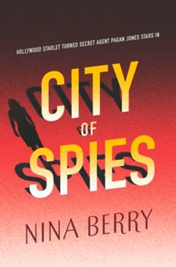 Nina Berry City Of Spies обложка книги