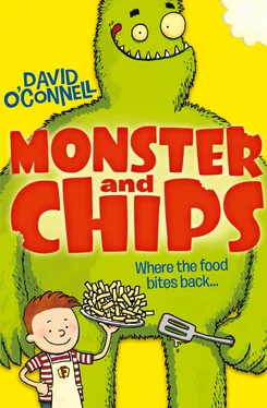 David O’Connell Monster and Chips обложка книги