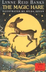 Lynne Banks - The Magic Hare