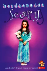Diane Redmond - The Scary Bridesmaid