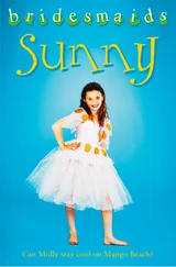 Diane Redmond - The Sunny Bridesmaid