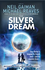 Neil Gaiman - The Silver Dream