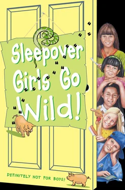 Ginny Deals Sleepover Girls Go Wild! обложка книги